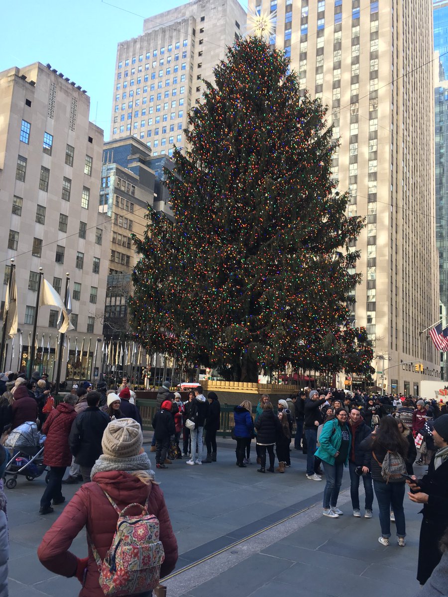 JIMFALWELL's tweet photo. Tree in the City. https://t.co/mdzoibHOES