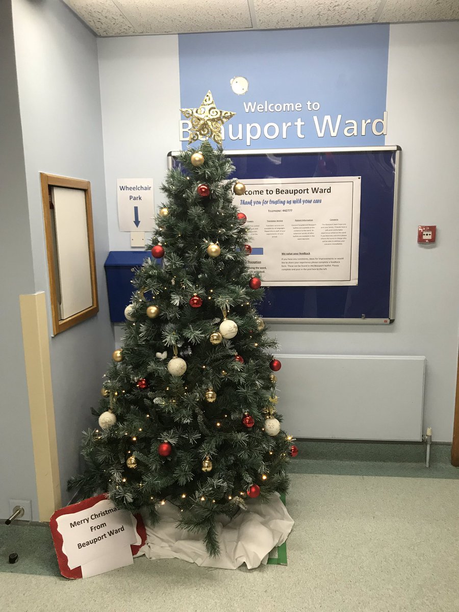 Rose Naylor tweet media