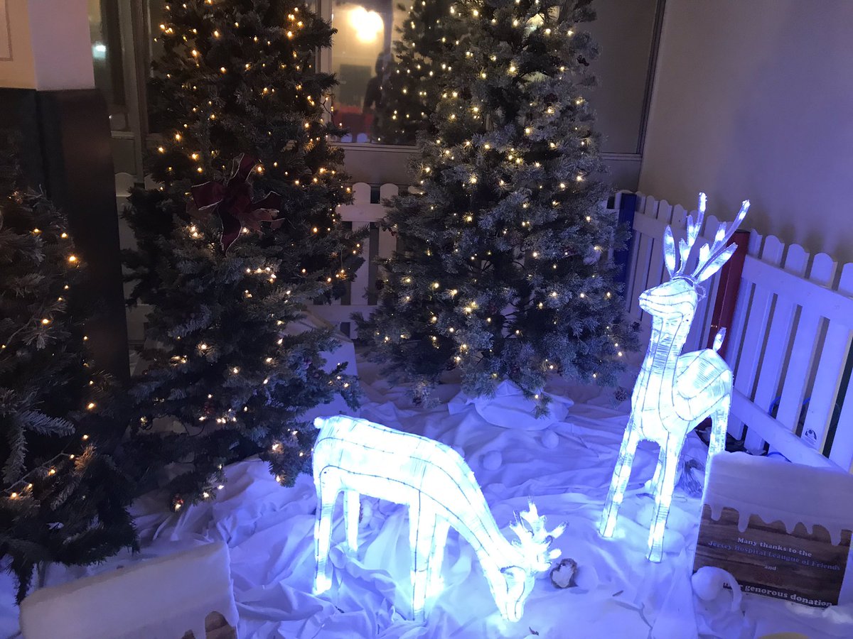 Rose Naylor tweet media