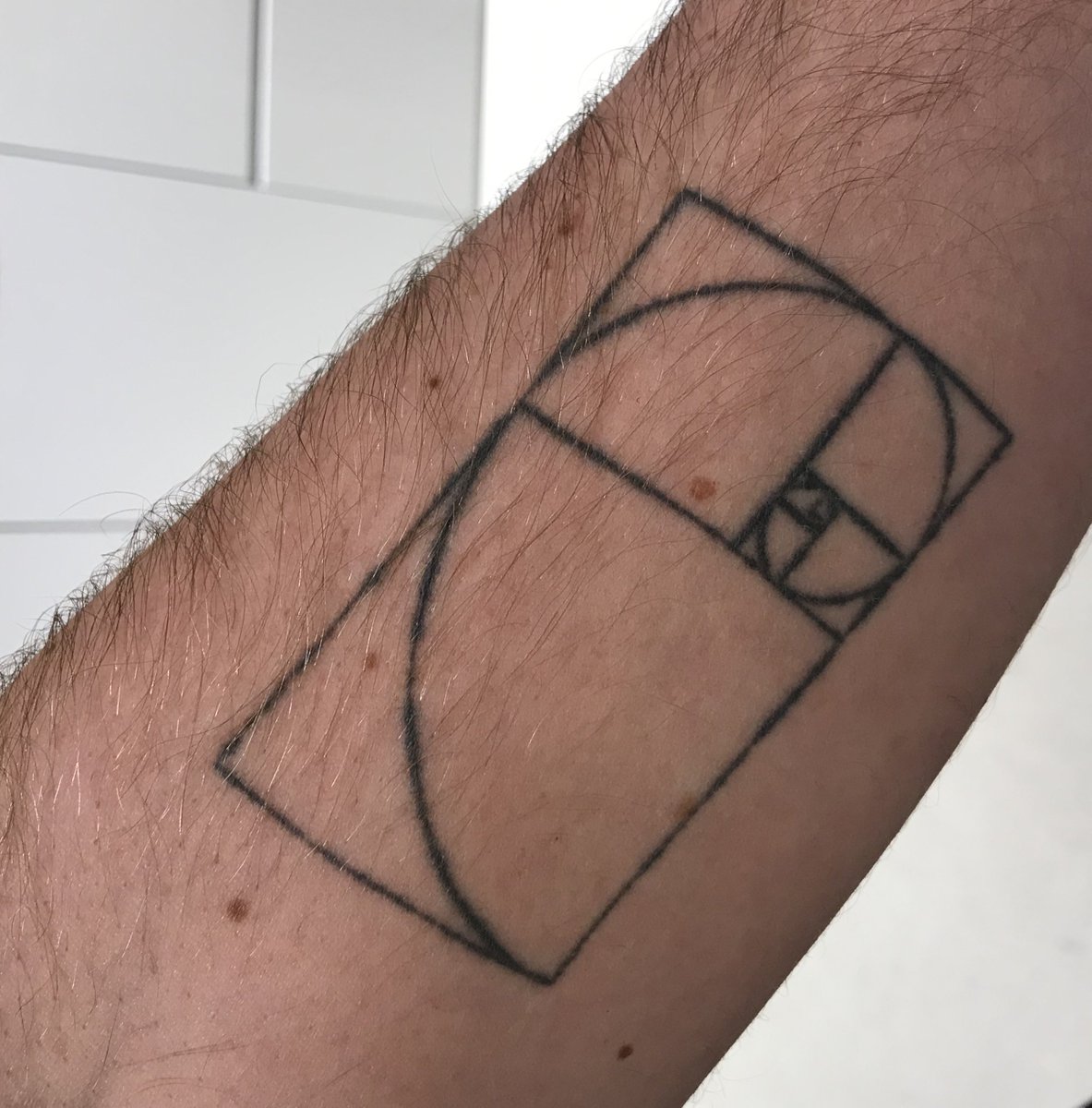 KiraHiggs's tweet image. Best. Tatoo. Ever. Worn by an architect. Naturally.

#goldentriangle #goldenrectangle #structuralconsulting