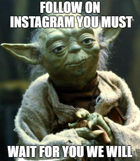 Global Concepts Gators tweet media