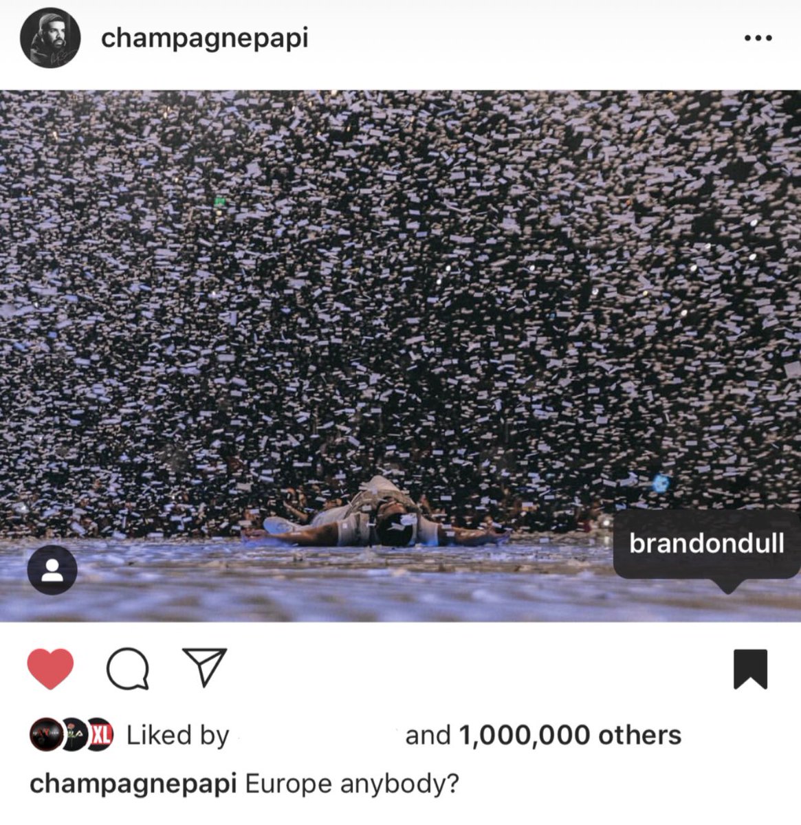 Brandon Dull tweet media