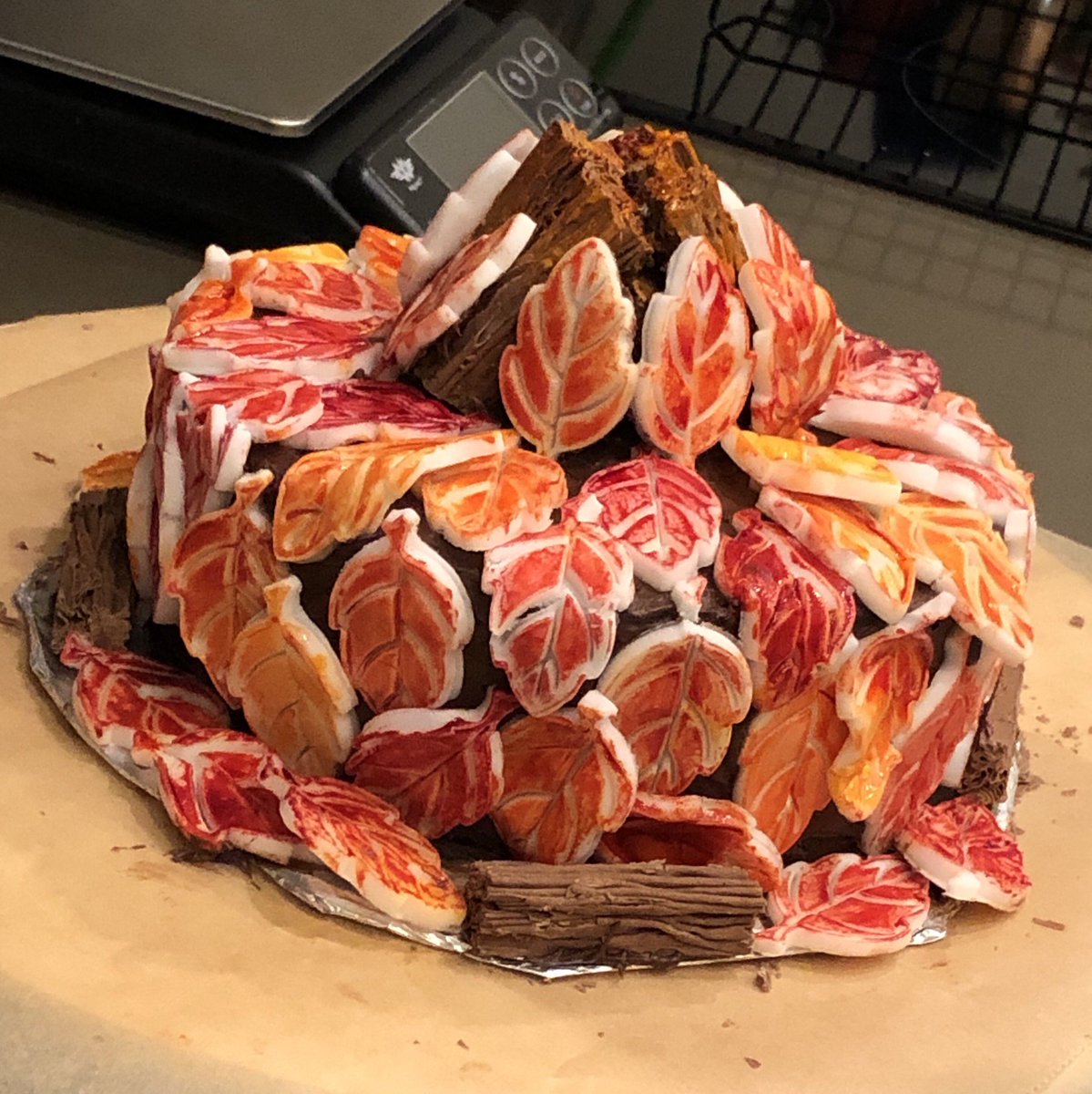 DaintyMonkey's tweet image. My daughter decorated a cake to take to school for an English project she has been working on.  I am not sure how the presentation went but she did an amazing job on her autumn themed cake! #youngbaker