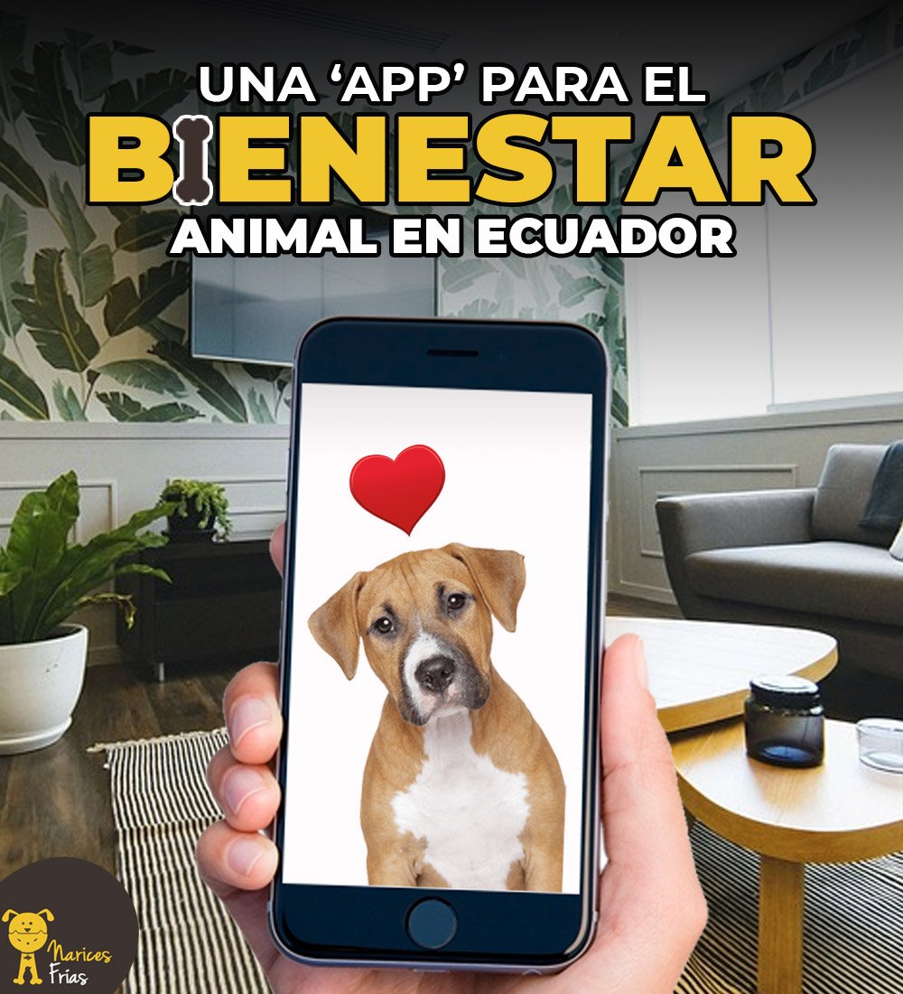 Poder rastrear a la mascota en caso de pérdida o encontrar una clínica veterinaria cercana a tu hogar son parte de las ventajas de esta 'app' que ya funciona en Ecuador » bit.ly/appAnml