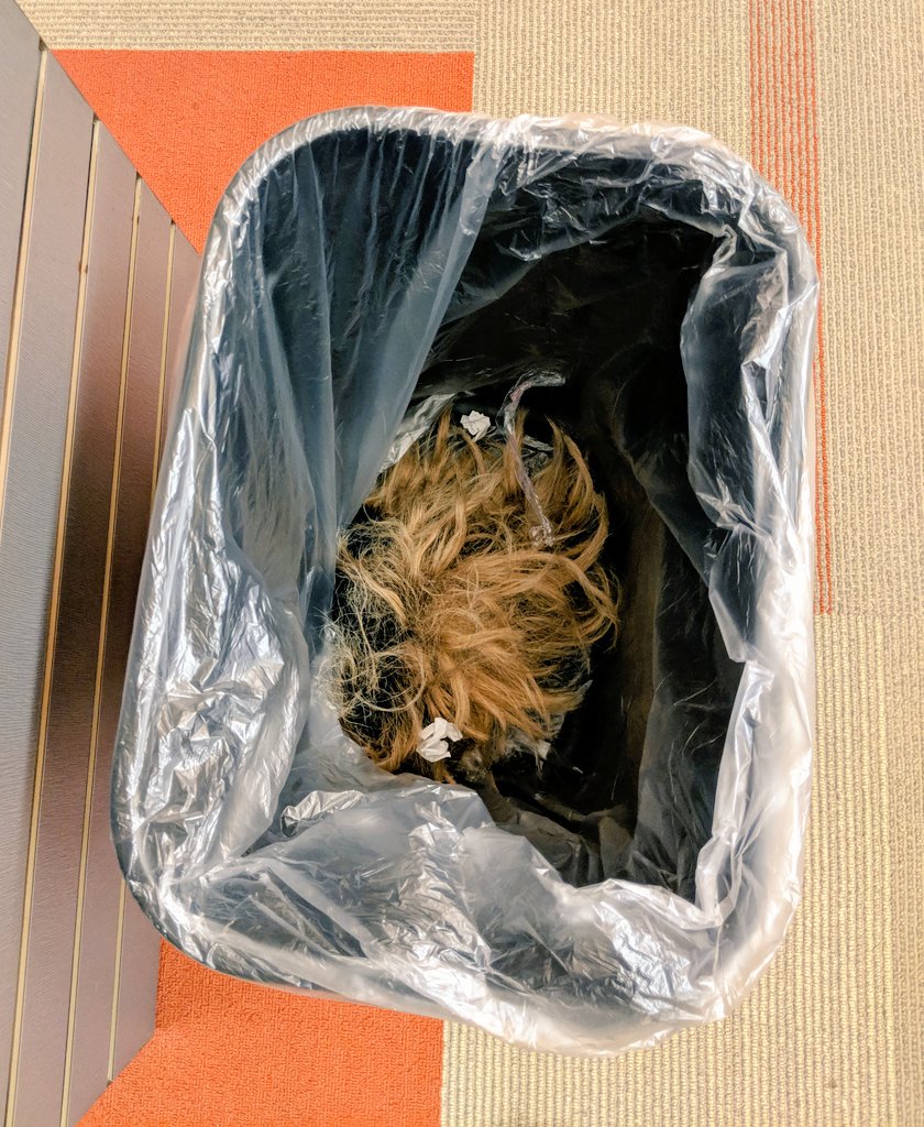lauracreature's tweet photo. #LibraryLostAndFound: one wig, snatched https://t.co/sfKGmrd3DD