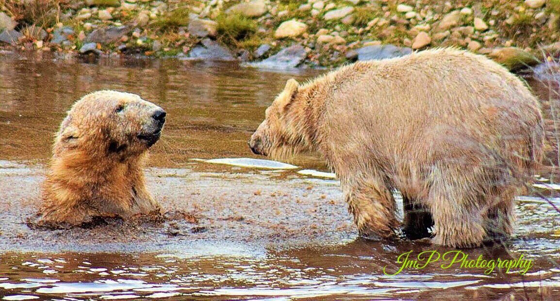 Happy Birthday Hamish on the right. One year old today