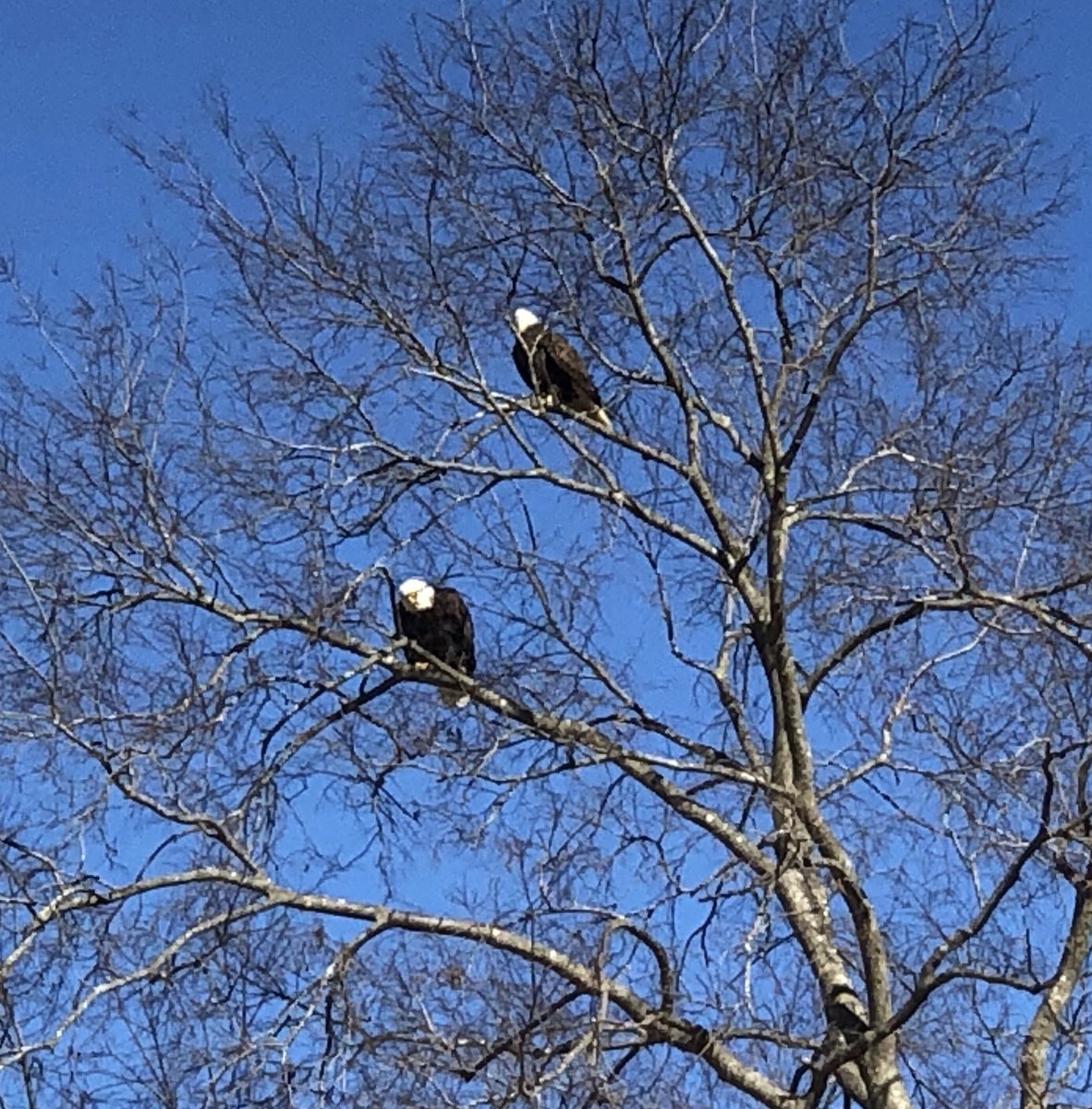 Persimmon Woods GC tweet media