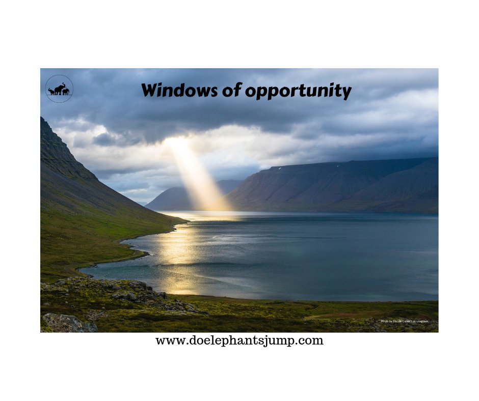 DoElephantsJump's tweet photo. Sometimes, we hold onto our beliefs so tightly that we miss opportunities or become too narrow in our focus.  I invite you to loosen your grip and become open to seeing, learning and accepting more.

#LeadershipDevelopment #leadershipcoaching #Leadership #leaders #doelephantsjump https://t.co/Kf8Wbol3oc