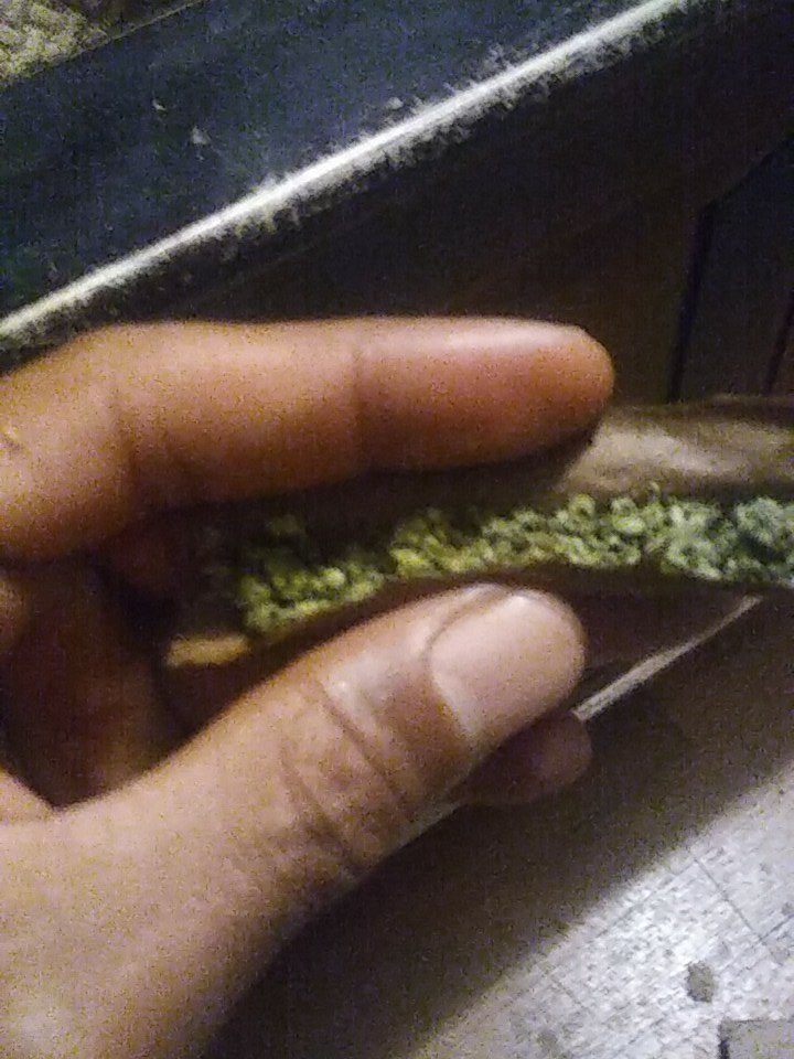 Simpset's tweet image. #cloudhopper