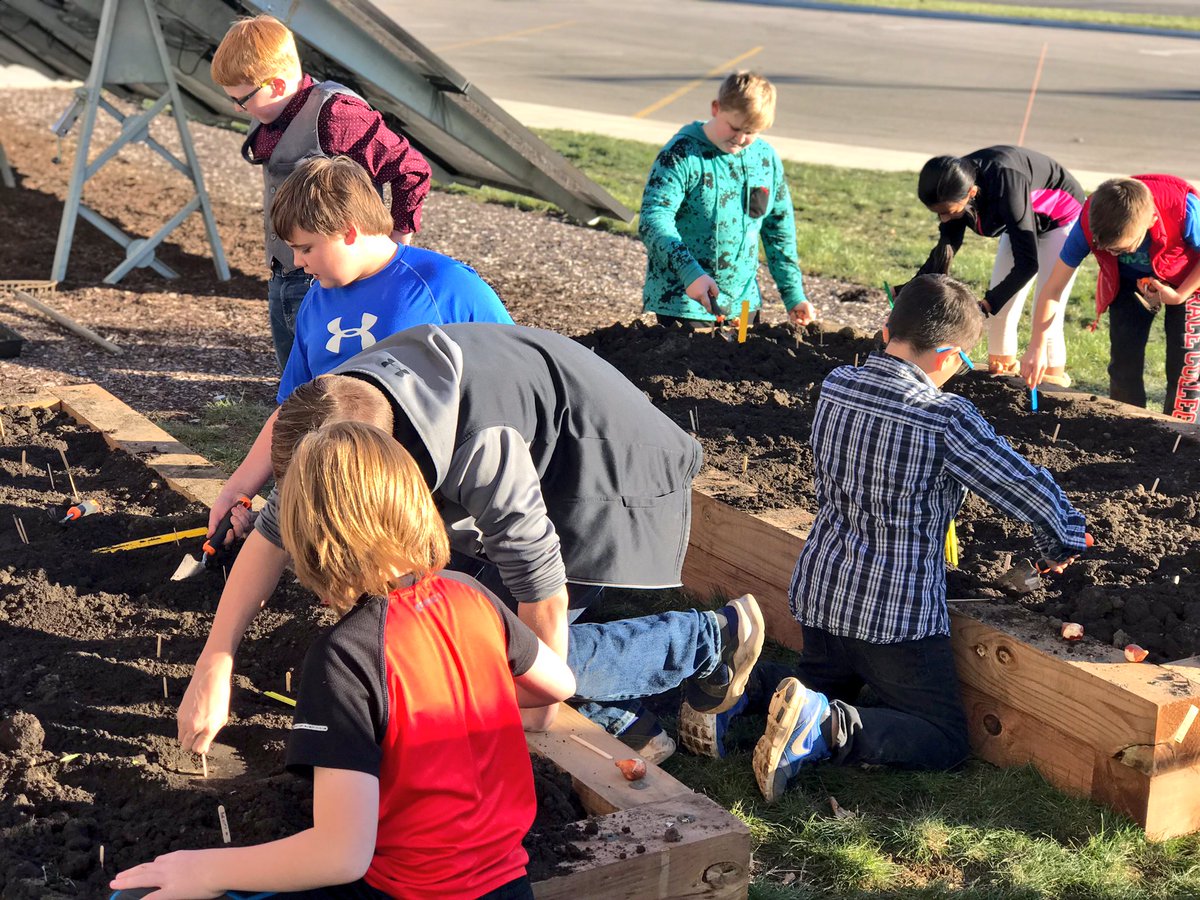 PatrickHazelton's tweet photo. 6th grade students began a presentation to showcase a tulips growth journey, determined the mass, measured the circumference, &amp; planted tulip bulbs. Now we will wait until spring to collect data as they begin to grow @journeynorthED @WCS_Lincoln #WCSmission #wcsSTEM https://t.co/ciPnKf7tNG