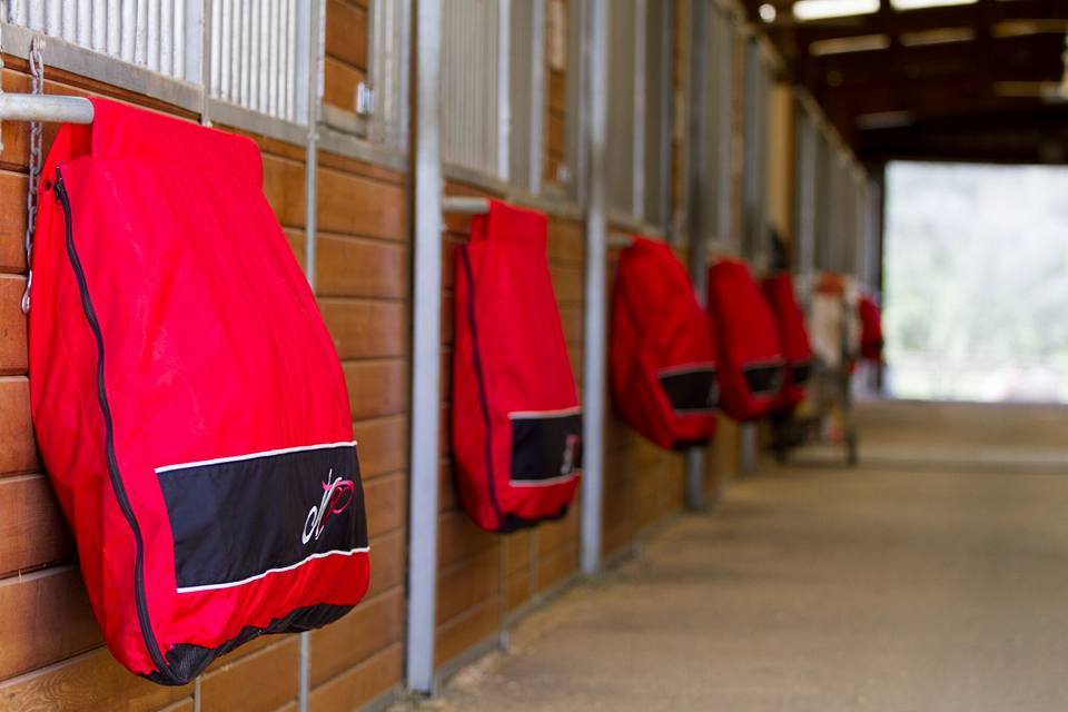 BRblankets's tweet photo. 🎄 HOLIDAY  #GIVEAWAYS 🎄
To Celebrate Joining Twitter, We Have Decided To Do A #Giveaway!
‼️‼️We Are Giving Away TEN $50 Gift Cards‼️‼️
(How To Apply In The Comments Below)
#HolidayShopping #HolidayGiveaway #HolidayGiftGuide #Horses #HorseBlankets #HorseClothing #Retweet #Follow https://t.co/Lf5EKoRWBI
