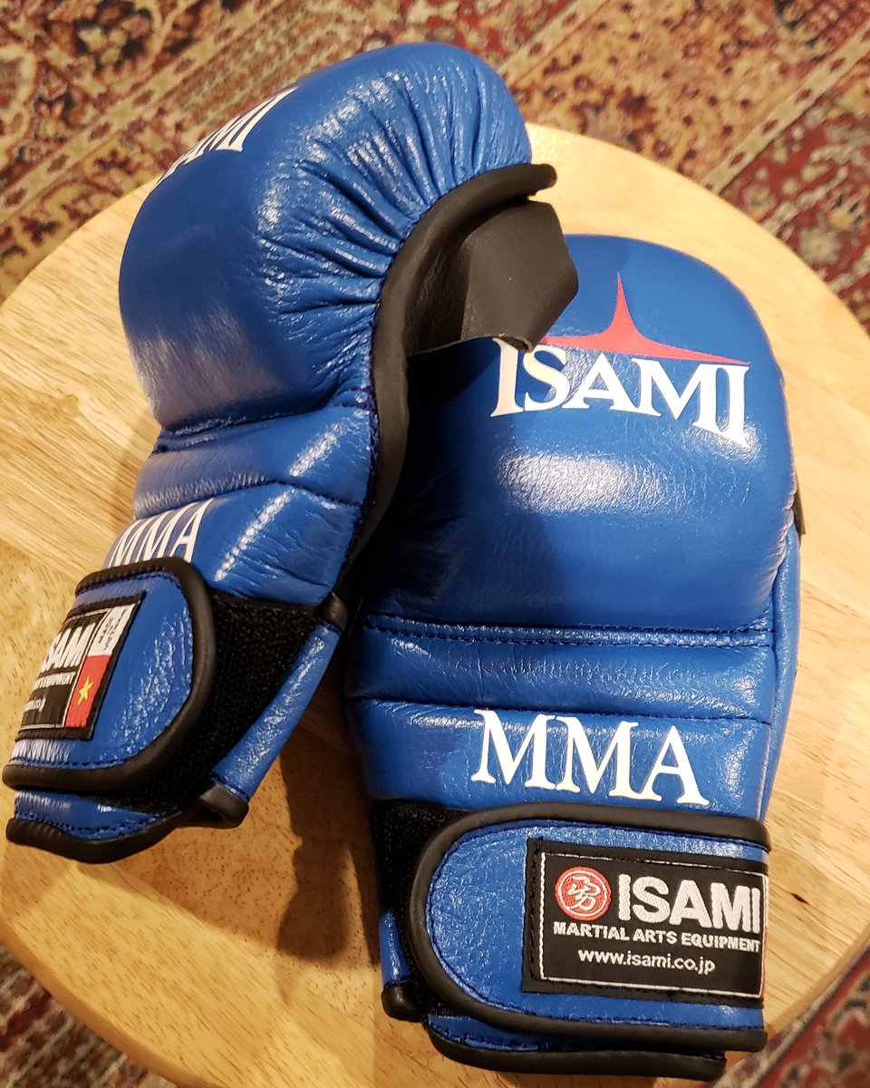 isami mma gloves