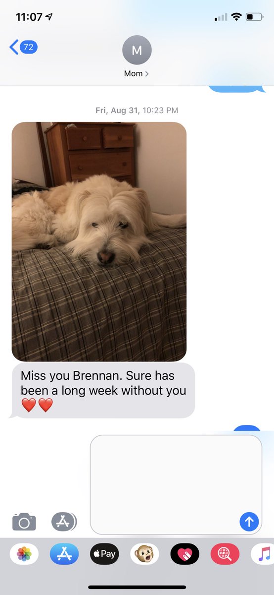 Brennantamayo's tweet photo. My dog likes to take my moms phone and text me whenever he can https://t.co/j8XOCCVmop
