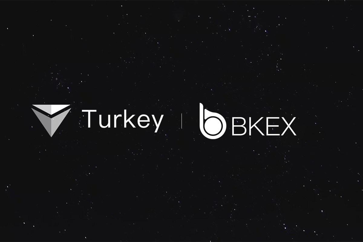 TurkeyChain's tweet image. Trade $TKC at bkex.com