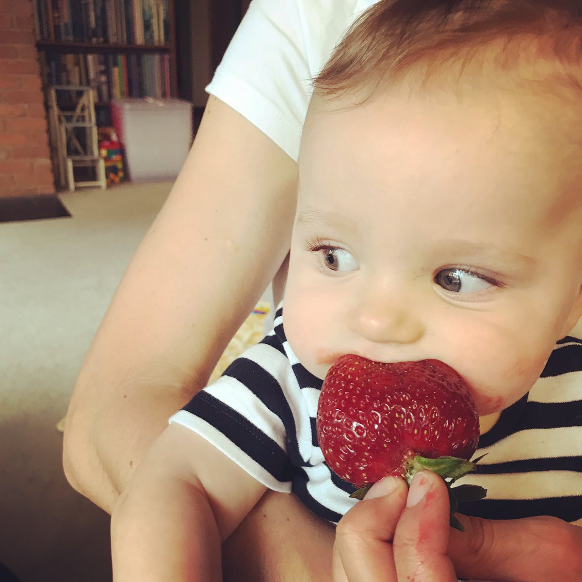 How are you enjoying our HUGE juicy strawberries?! Richard’s little fellow is loving them! 🍓❤️👶🏻 #berrybaby #strawberries