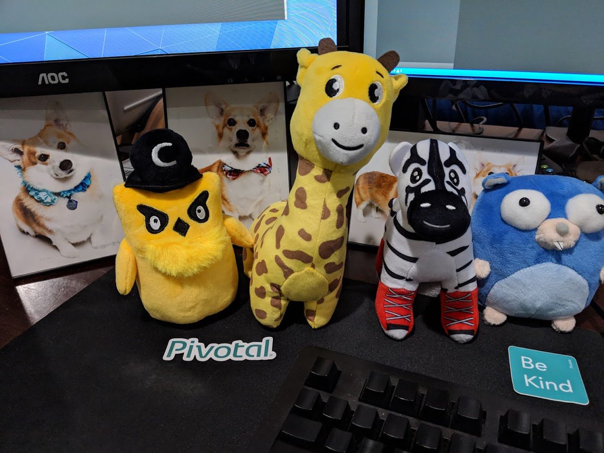 #phippy arrived!