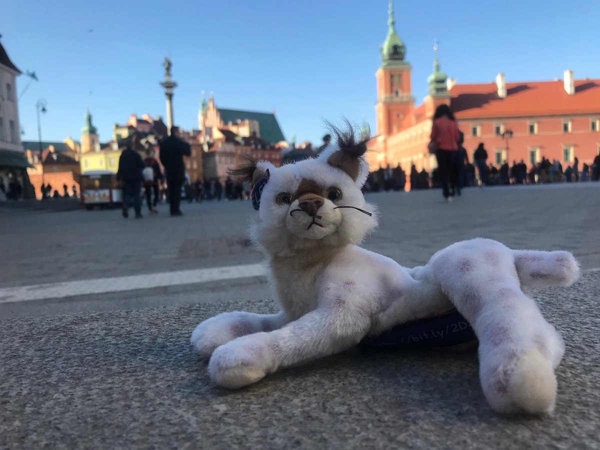 FLEXAlumni's tweet photo. Are you wondering what we are wondering?
So, let's find out what places FLEX Lynx has been to, shall we?
#FLEXAlumni #FLEX25 #ACGlobal #ExchangeAlumni #ExchangeOurWorld https://t.co/eIm19Yb4Oh