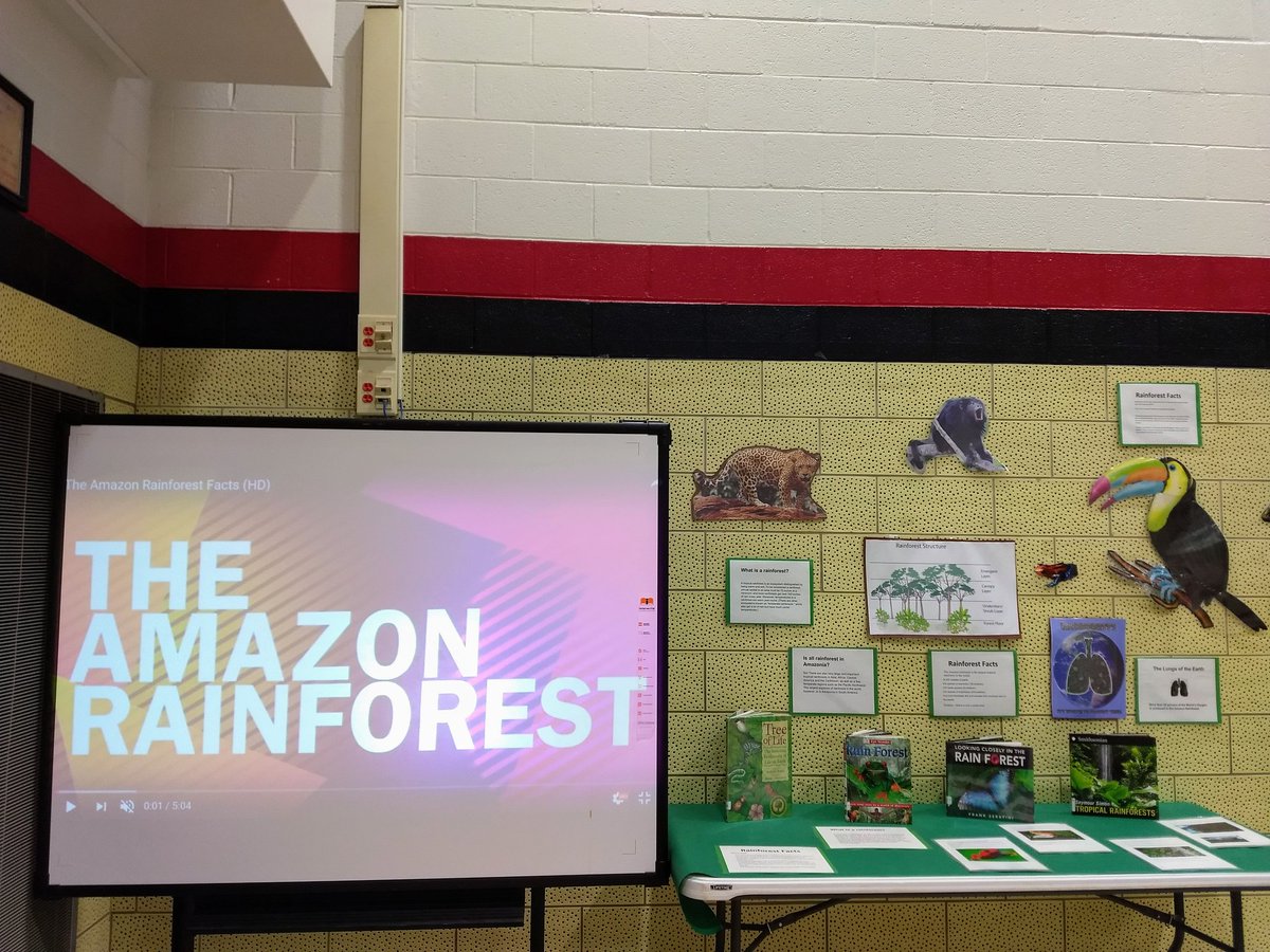 DykeJeff's tweet photo. We had a blast swinging and climbing our way through the Amazon Adventure Course! #movementeducation @WarrenES_BCPS @lisadingle5 https://t.co/m9dJNdT4Rt