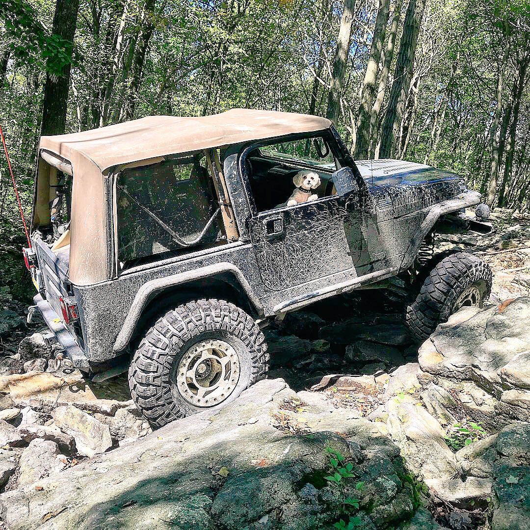 CovertZack's tweet photo. More Jeep stuff from earlier this year @itsajeepnation @smittybiltusa @Morris4x4Center https://t.co/iTavKFbm72