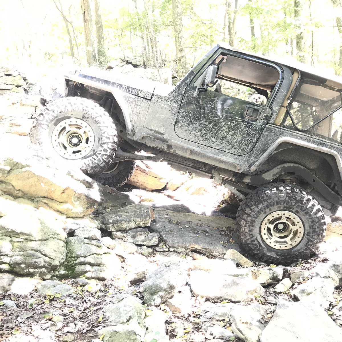 CovertZack's tweet photo. More Jeep stuff from earlier this year @itsajeepnation @smittybiltusa @Morris4x4Center https://t.co/iTavKFbm72