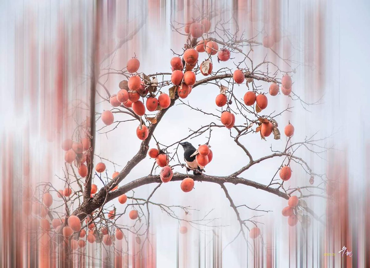 이세상에태어날때
빈손으로왔으니
가난한들무슨손해가있으며,
죽을때
아무것도가지고갈수없으니
부유한들
무슨이익이되겠는가.
할수있으면
얻는것보다덜써야한다.
절약하지않으면
가득차있어도
반드시고갈되고,
절약하면텅비어있어도
언젠가는차게된다.
덜갖고도
우리는얼마든지
행복하게살아갈수있다.