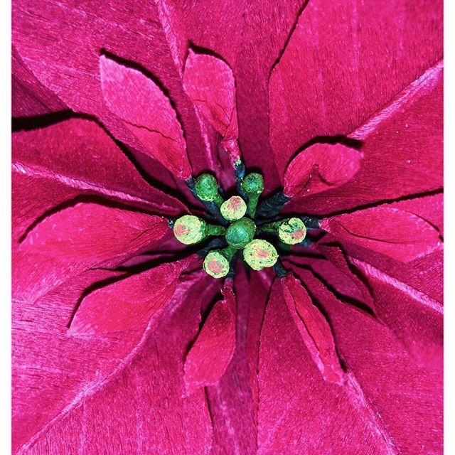 agillum5's tweet image. Working on a lil something new...
.
.
#lifeofanartist #dspattern #calledtobecreative #dsart #artinprogress #pursuepretty #abeautifulmess #growthmindset #buildyourempire #hustlehard #businessgrowth #girlbosslife #dreamersandoers #bosswoman #shemeansbusin… ift.tt/2PLu0O8