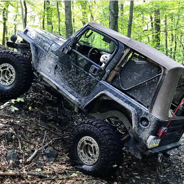 CovertZack's tweet photo. Jeep life is the best life @Morris4x4Center @smittybiltusa @maxxistires @THEJeepMafia https://t.co/VVJ51czvvM