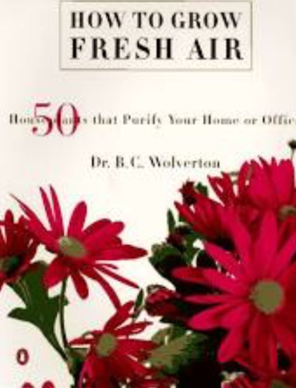 LaurelNelsonH's tweet photo. @JenMGardens Also have to confess to book hording. I have the decades old book that NASA prompted. Granddaughter who is learning to count decided to count my main floor #houseplants today. She doesnโt go beyond 24 (yet) but there were 40. #howtogrowfreshair https://t.co/hXsowF3YIP