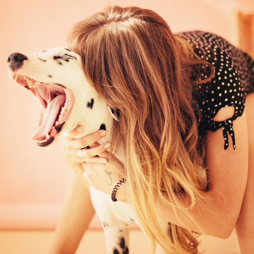 moyamalla's tweet photo. It's bedtime! 😴💤
Tell us what is your dog's bedtime routine? 

#moyamalla #urbandog #dogowners #lovedogs #doglover #citydog #dogoftheday #dogs #bedtime #dogsworld #dogslove #dogworld #petowners #petsupplies #petparents #dogtips https://t.co/4vAf2Weyb8