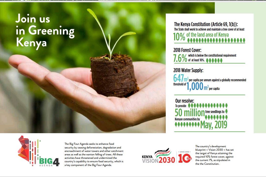 'Anybody can dig a hole and plant a tree. But make sure it survives. You have to nurture it, you have to water it, you have to keep at it until it becomes rooted so it can take care of itself. There are so many enemies of trees in Kenya.'~ Prof Wangari Mathaai #GreeningKenya