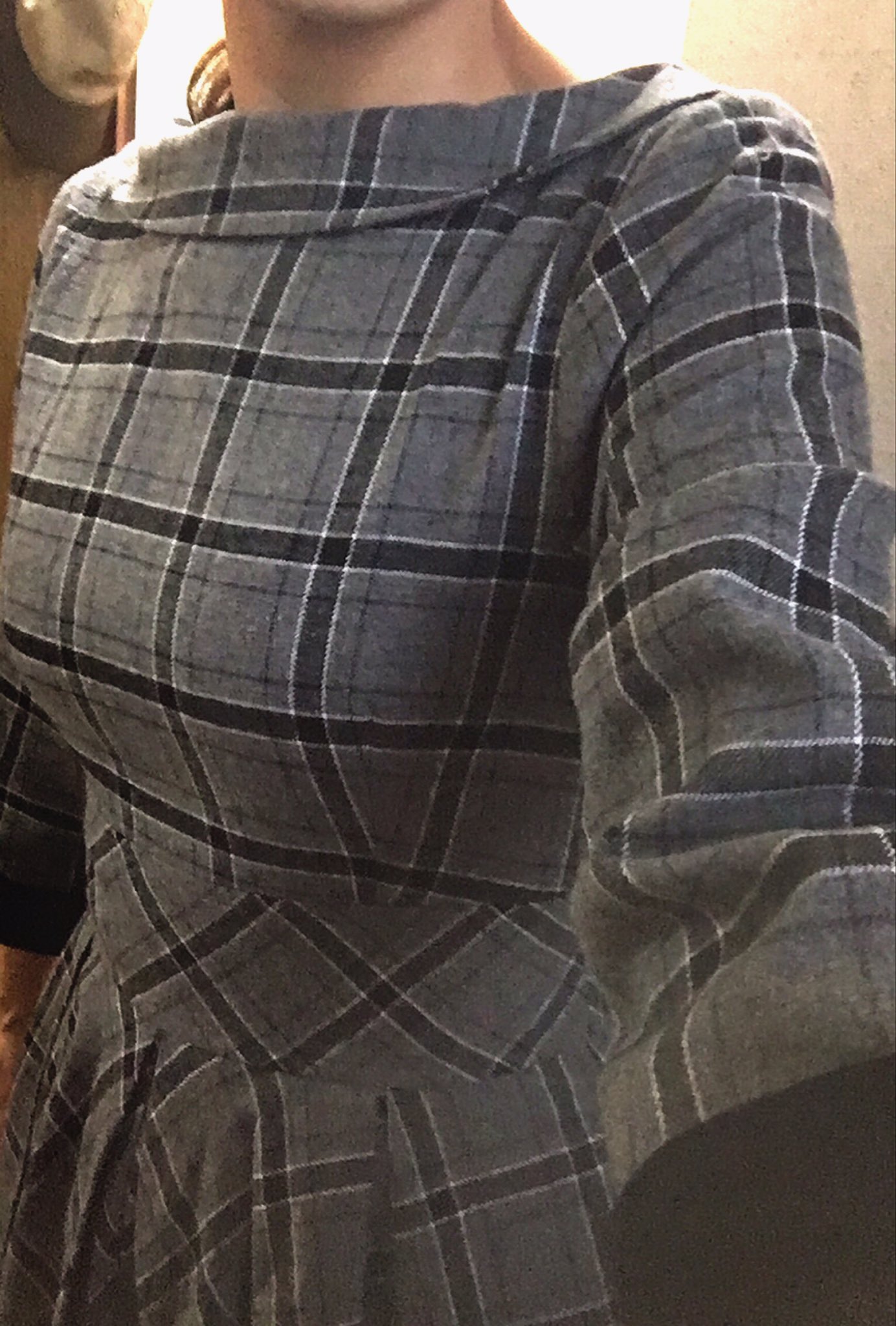 ちょか その先の未来へgo A Twitter Pinup Closet Pinup Closet さんのフロイラインワンピース届いた Mサイズでぴったり 赤チェックとグレーチェック 後ろのファスナー上げるのになかなか腕が上がらない 届きにくいけれどこれは大人のチェック