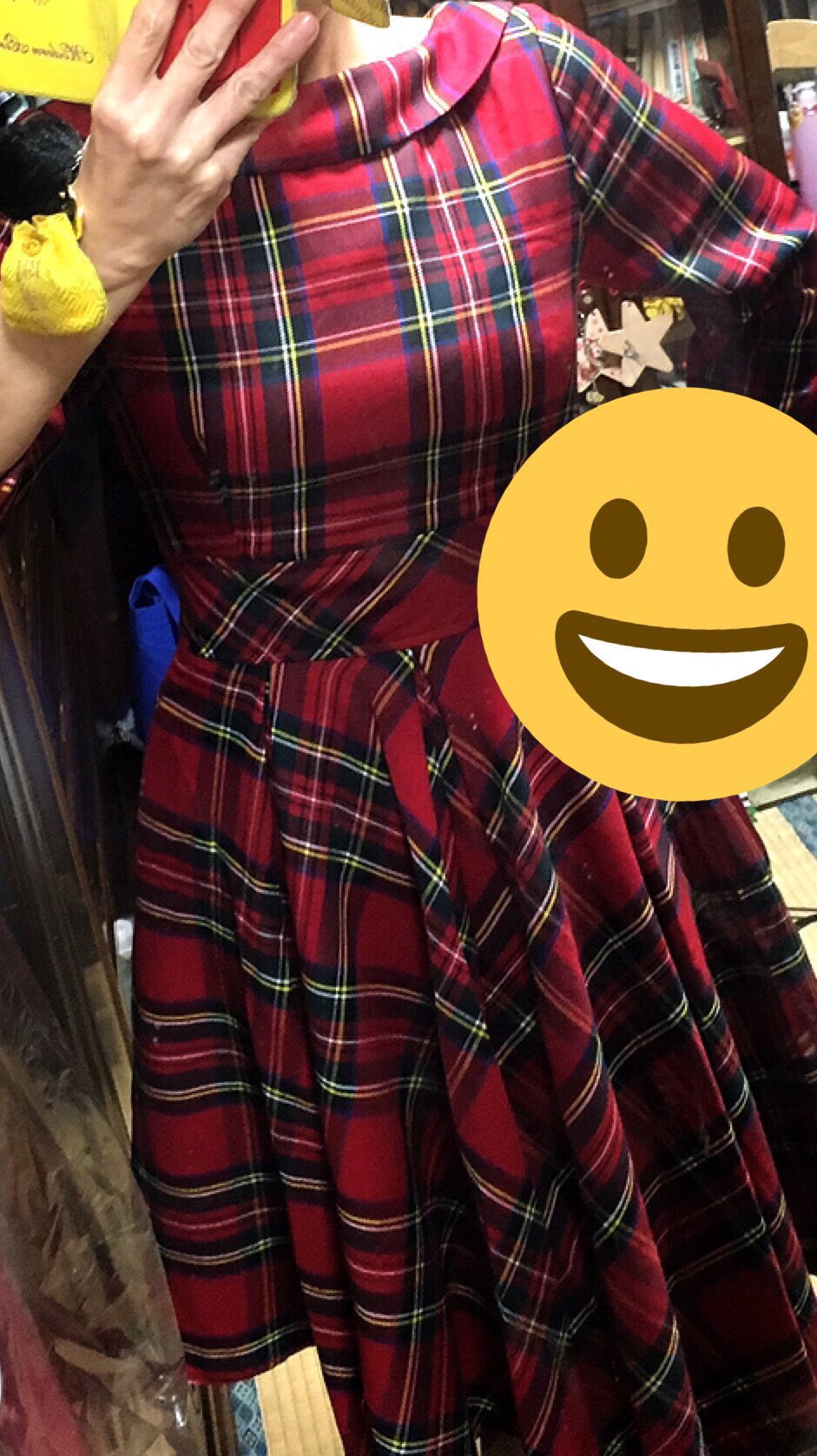 ちょか その先の未来へgo Pinup Closet Pinup Closet さんのフロイラインワンピース届いた Mサイズでぴったり 赤チェックとグレーチェック 後ろのファスナー上げるのになかなか腕が上がらない 届きにくいけれどこれは大人のチェック