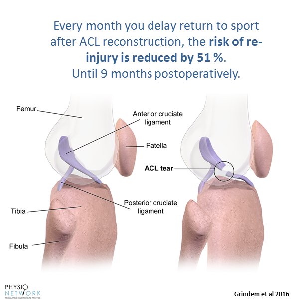 PhysioNetwork's tweet photo. Clinical implications: Return to level I sport should be delayed until at least 9 months have passed from surgery and the patient has regained quadriceps strength comparable to the uninjured side. Full-text: https://t.co/1BfLxGA9fl #PhysioNetwork https://t.co/bzzYwhTn8q