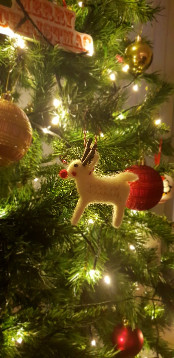 Thank you so much @HarrietShannon for this adorable little guy. Sat proudly on my tree to remind me of the effects of general anaesthesia on respiration! #MerryChristmas @uclphysio #posterprize #unilife #mastersmodule #UCL #decoration #ChristmasTree