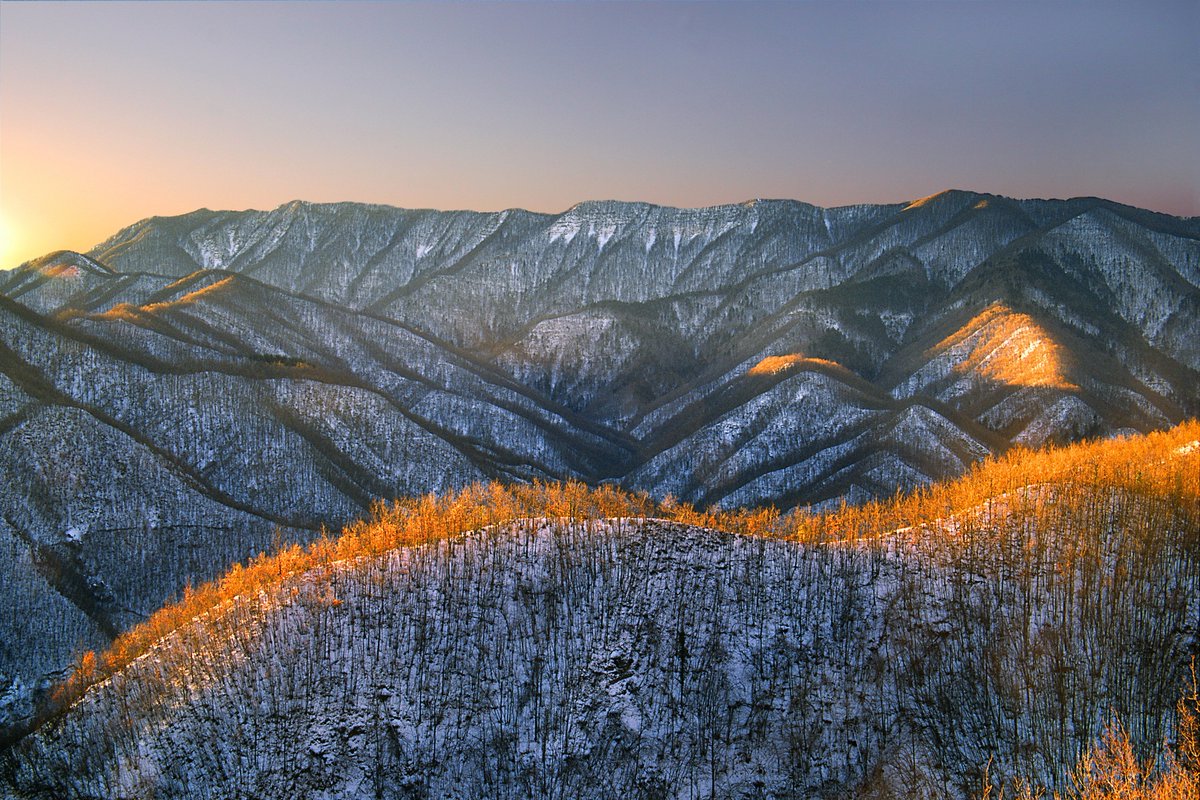TerraNuovaEd's tweet image. #Parco delle #Foreste Casentinese: splendida meta anche d' #inverno terranuova.it/News/Ecoturism… #ecoturismo #viaggiare #montagna @ViaggiaredaSoli @camminideuropa @PaoloTessiore @Escursionismoit @monasterocam @lavernanet @Locandabaro