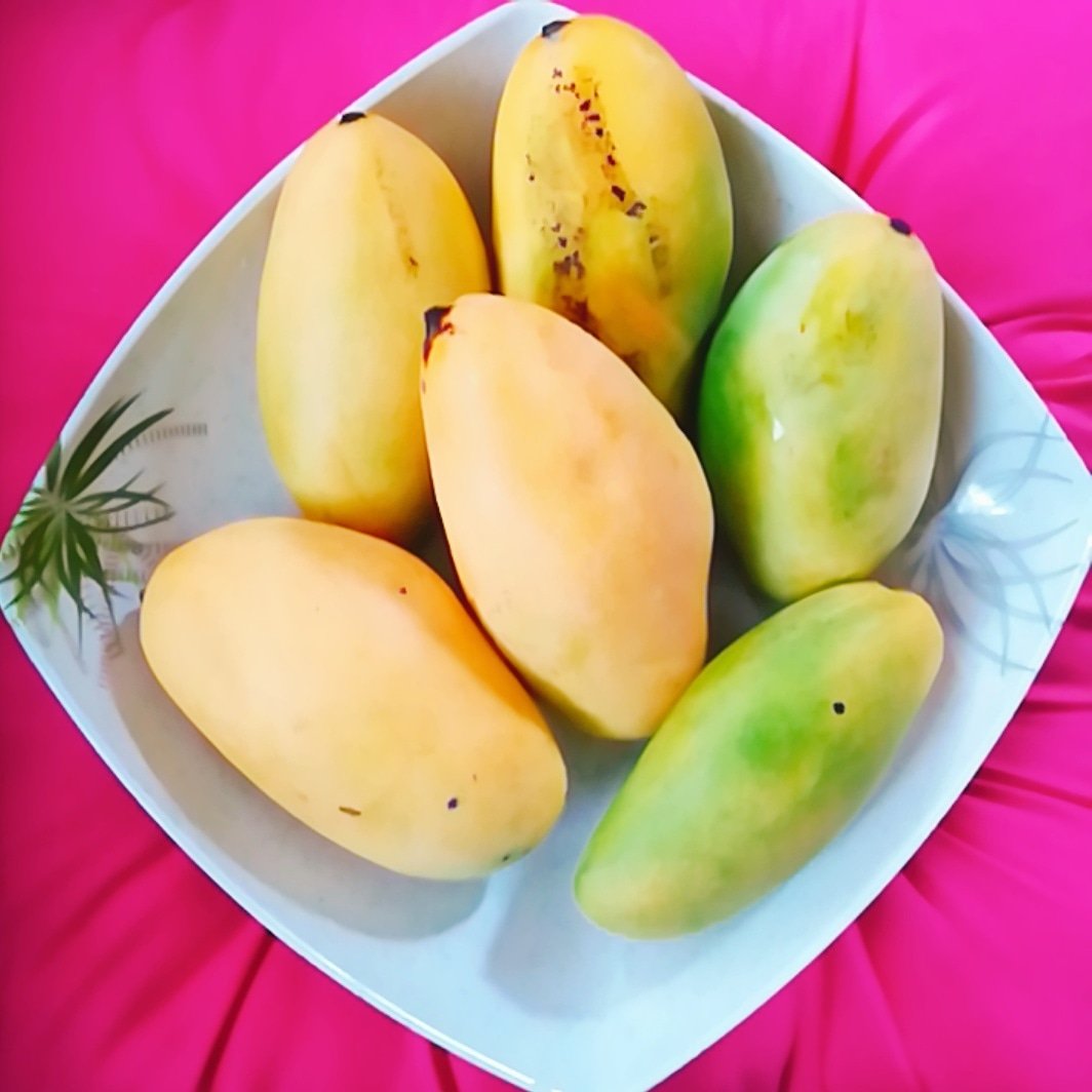 I'm just going to look at this image for a while.
Look at it. And drool... 🌳🏡🌄
#mango #summerondecember #fruitarian #vegan #dessertporn #realfood #fresh #happiness #dessertstagram #lowcarb #detox #instafood #daquiri #mangogirl #fave #crave #therapy #mybooster