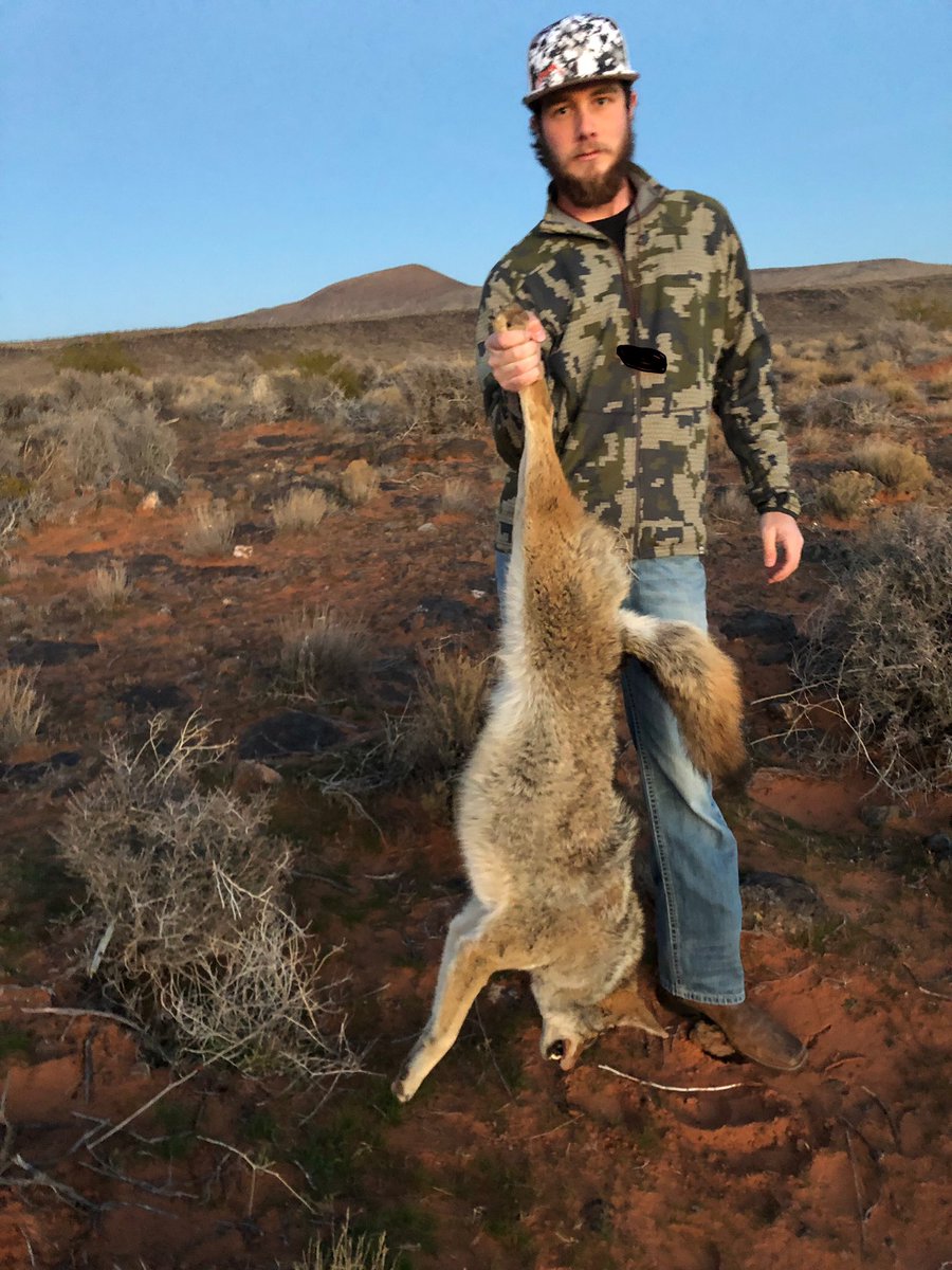 kbbaseball22's tweet photo. It had been two years since he got to go out and call so he asked me to take him out called in two dogs in three stands. I need to get out and get a full day of calling in before winters over. https://t.co/9NOtsQZmzN