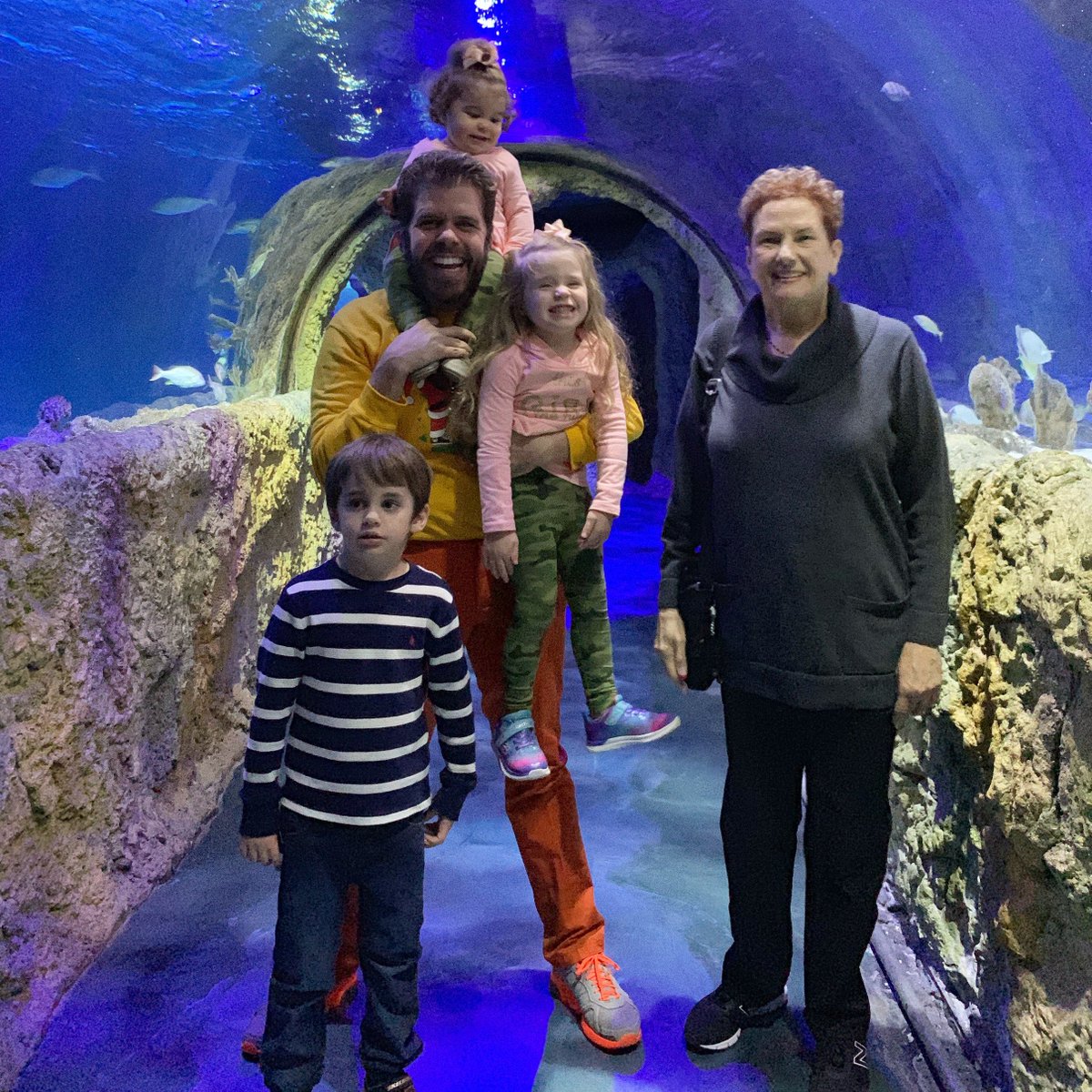 ThePerezHilton's tweet photo. Our trip to Florida with Experience @Kissimmee has been all I hoped for - and more! We are doing so much every day! Today we also hit up @SEALIFEOrlando and were transported to a world beneath the sea! Check out more of our fintastic pics and videos HERE: https://t.co/K10nAXJbzz https://t.co/4NtBHNAH5t
