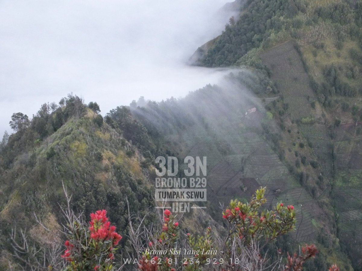 Bromo_B29's tweet photo. Private/ Open Trip: 
➡ Bromo Midnight (15 Hours) 
➡ Bromo - B29 - Tumpak Sewu - Ijen (1D 1N/ 2D 2N/ 3D 3N)

Tripadvisor
#Ayodolan #Jakarta #Bandung #Surabaya #Starbucks

~ Bromo Sisi Yang Lain ~ 
📲 +62 81 234 929 18 

https://t.co/iARBNdR0BE

#AyoLiburanAkhirTahunKeJogja https://t.co/PThn17Un5C