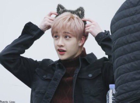 BANG CHAN IS CUTE