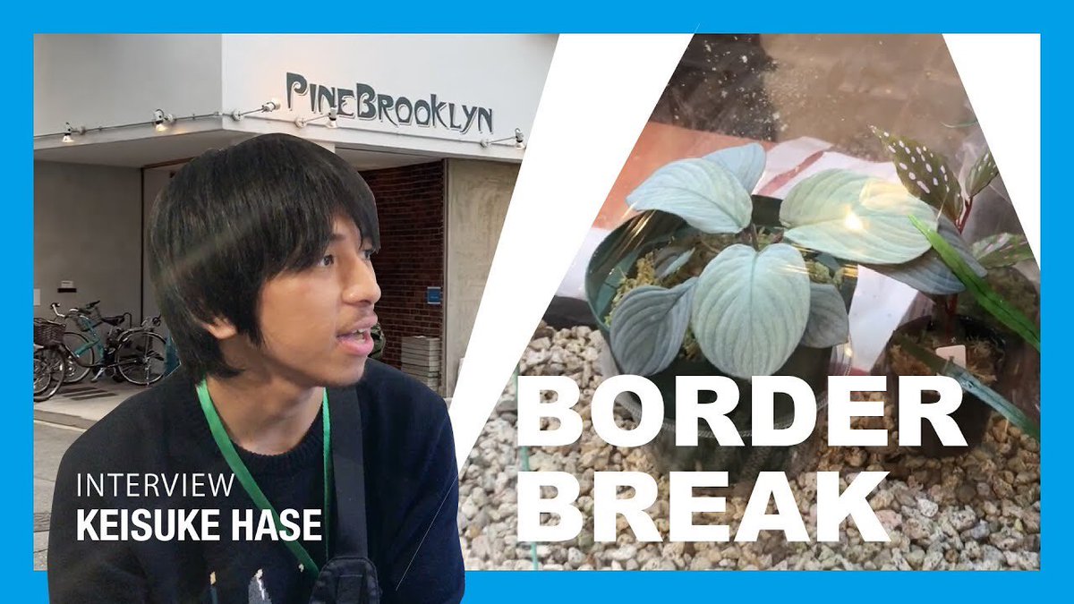 PALUDAMAN's tweet photo. BORDER BREAKを動画にまとめました😍 珍しい植物が盛り沢山🤩 LA便の長谷さん、TK便の鶴岡さんにもパルダリウム関連でお話させていただきました(^^)
↓YouTubeでご覧ください。
https://t.co/5yfUiuSikR
#borderbreak #borderbreak6th
@LA_souya @takkkkkkkkkkkun @bb_boderbreak https://t.co/sL9Gcv1Fdz