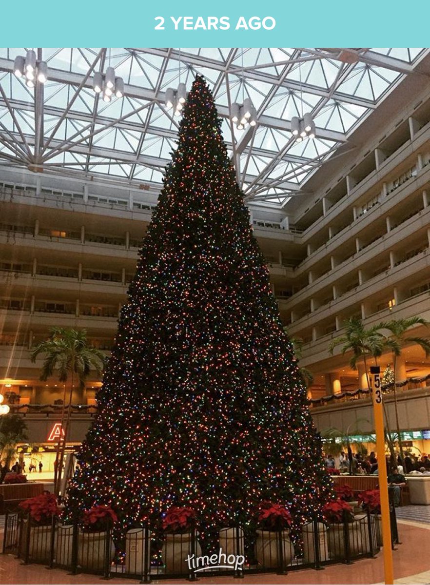 tonilou___'s tweet photo. Timehop hitting me in the feels today!! What a Christmas this was!! #Florida2016 https://t.co/Pgq1sva1Sd