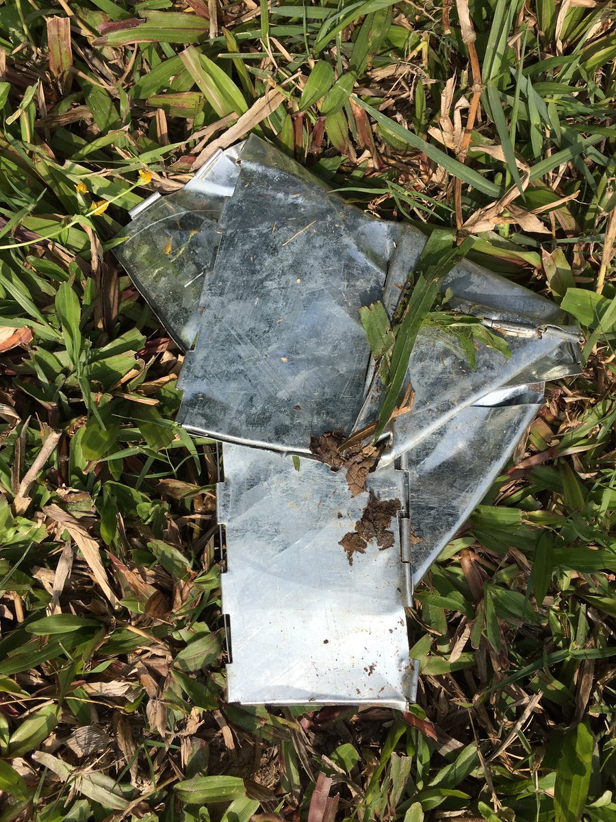 MonkeyFever_'s tweet image. The local elephants are not helping our rodent trapping efforts- have lost 40 traps! Clearly peanut butter is not just popular with the rodents - one had also been opened by a leopard @abi_vanak @bethan_purse #MonkeyFever #OneHealth