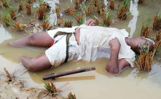 ManviDad's tweet photo. శ్రీకాకుళం పెథాయ్ తుపాను సృష్టించిన అలజడి, ఆరుగాలం శ్రమించి పండించిన పంట నీట మునగడం తట్టుకోలేక కుప్పకూలిన రైతు... ఆ పంటపొలంలోనే తనువు చాలించాడు. 😥ఈ హృదయవిదారక ఘటన శ్రీకాకుళం జిల్లాలోని మెళియాపుట్టి మండలం కొసమాల గ్రామంలో చోటుచేసుకుంది. #Pethai https://t.co/EVaWPaa0jQ