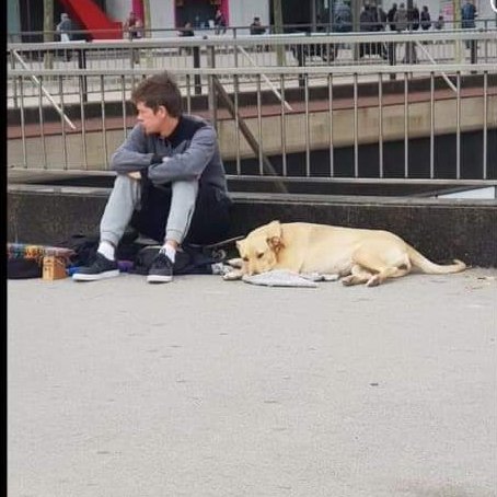LuisVMoreno's tweet photo. Aquí podenos ver al chaval detenido y su perro acribillado a balazos por la Guardia Urbana en #Barcelona.
No nos merecemos una policía que sólo sabe resolver problemas a tiros.
Concentración está tarde. Toda la info en @PartidoPACMA https://t.co/xhEVofPb3k