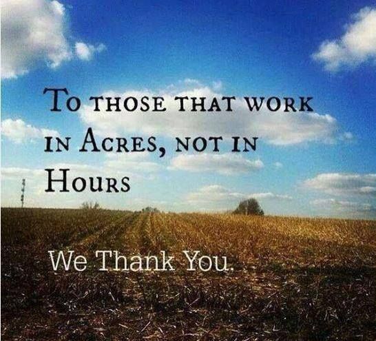 Thank a farmer before tucking into your Christmas dinner on Tuesday 🙏🏼 #BackBritishFarming