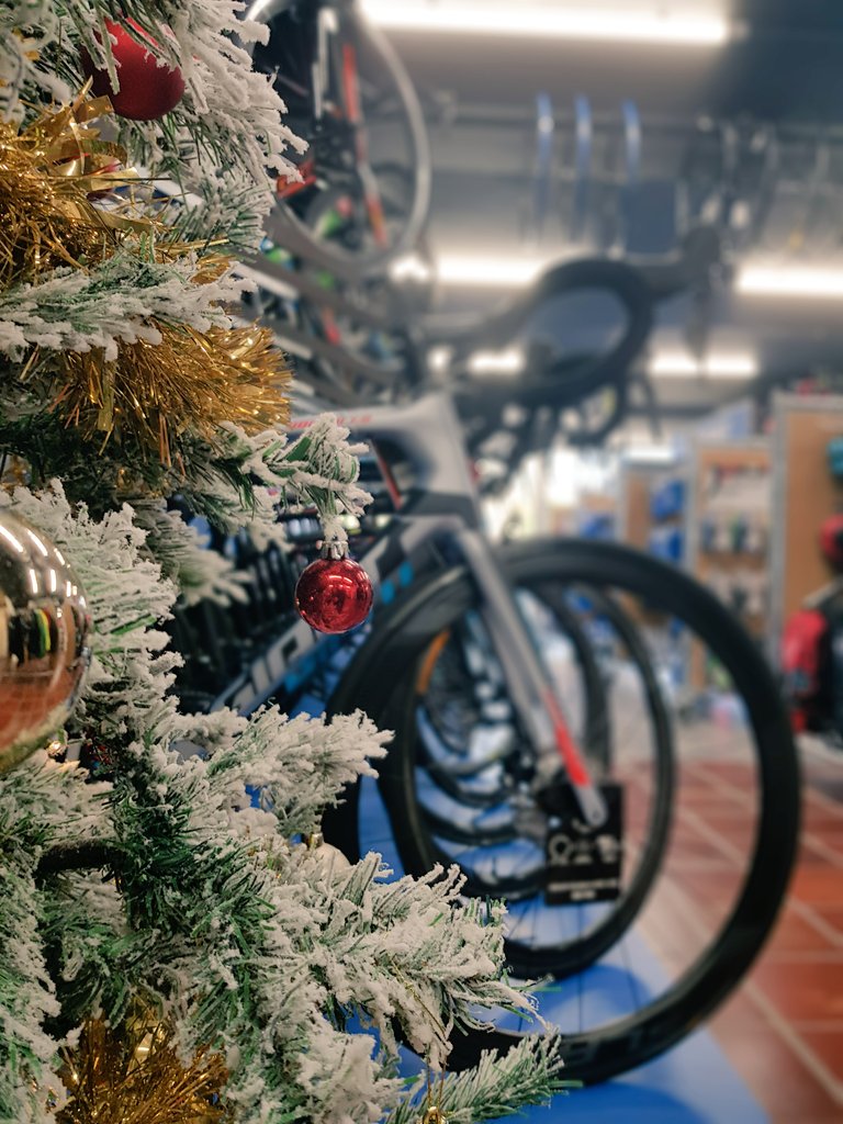 pedaloncouk) latest Tweets 