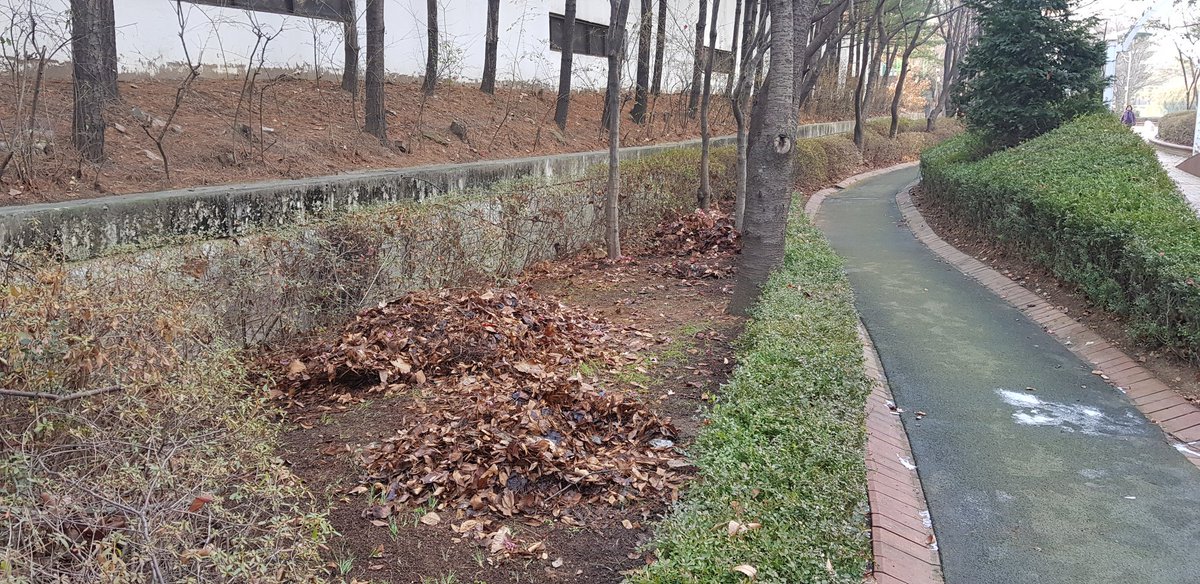 blitzkrieg1111's tweet photo. [위험한 무단투기는 자제해주세요]

금일 수내2동(동장 김수연)에서 관내 화단 정리를 하던 중 아주 가슴이 철렁한 일이 있었습니다😥

쌓여있는 낙엽 사이에서 발견된 것은 조각조각난 채로 낙엽에 섞어놓은 유리조각들....ㅠㅜ

쓰레기 무단투기, 사람을 위험에 빠지게 할 수도 있습니다

#성남시 https://t.co/Y6Miv6z7pF