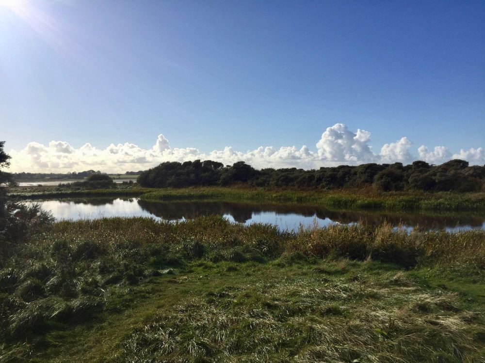 SDLMartinCole's tweet image. &quot;Effective leadership questions demonstrate trust&quot; goo.gl/UmkxJm #Leadershipquestions #Leadership #Communication