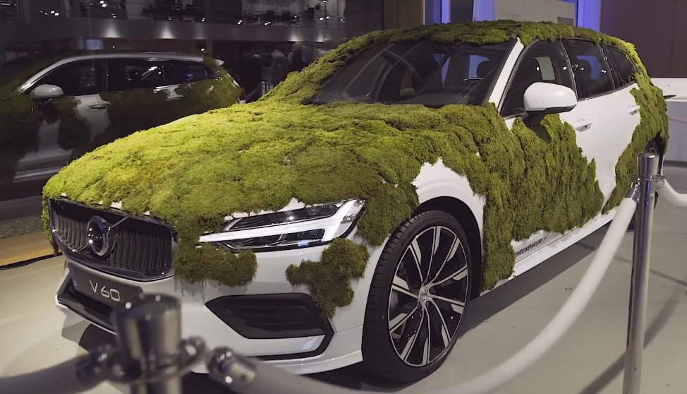 Wow look at this amazing creation from <a href="/NieuwenhVolvo/">Nieuwenhuijse Volvo</a>. Just lovely 😍!! #sheetmoss #decoration #mossdecoration